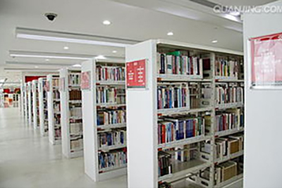 河北午夜视频成人